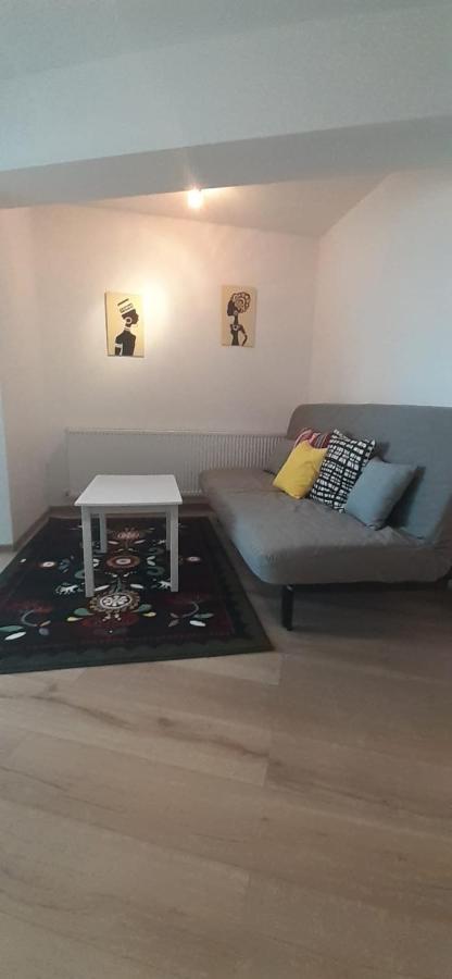 Apartament Central. Bloc Nou. Apartment Bacau Bagian luar foto