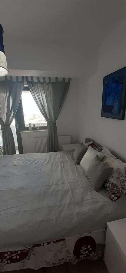 Apartament Central. Bloc Nou. Apartment Bacau Bagian luar foto